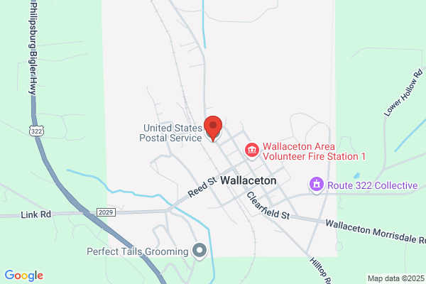 U S Government, U S Postal Service, Postal Wallaceton