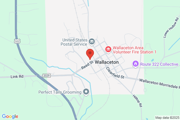 Wallaceton Hardwoods