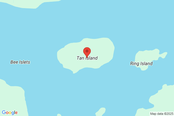 Island Tans