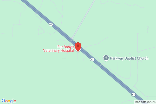 Fur Baby's Veterinary Hospital
