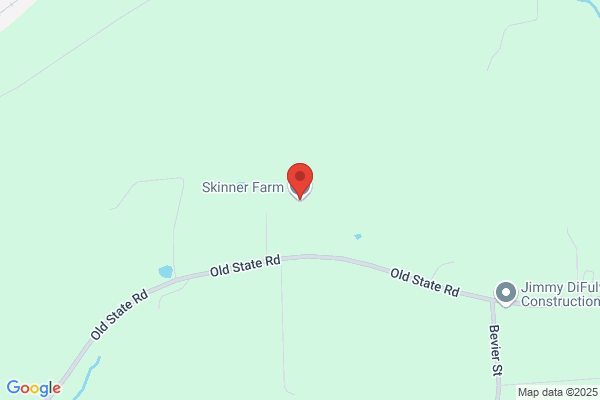 Skinner Inc