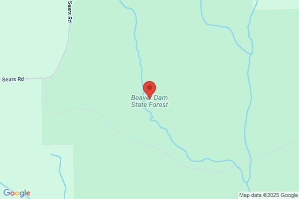 Beavers Da