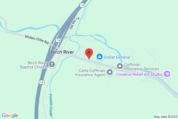 Allegheny Surveys Inc
