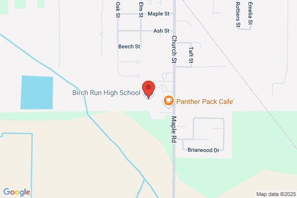 Birch Run Area Schools, High School
