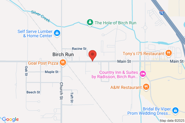 Birch Run Township