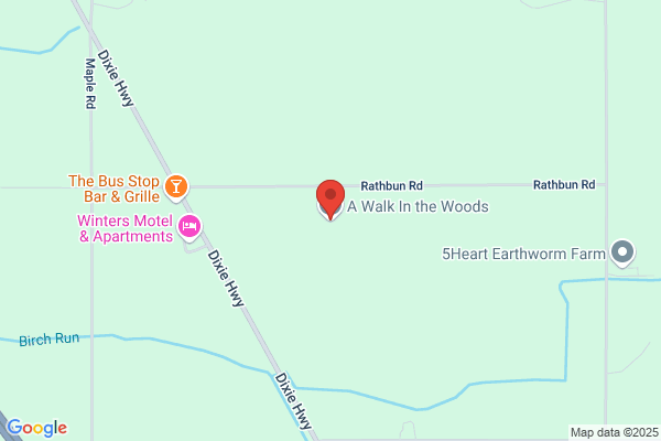 Walk In the Woods