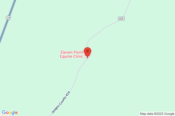 Eleven Point Equine Clinic