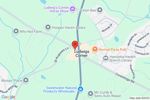 Ludwig's Village Dental
