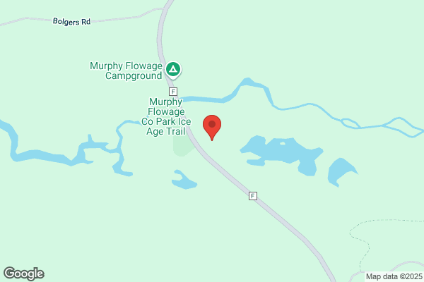 King's Logging & Tree Service