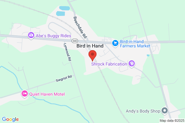 Storage Sense - Bird in Hand