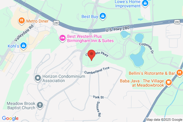 ALABAMA INSURANCE AGENCY INC