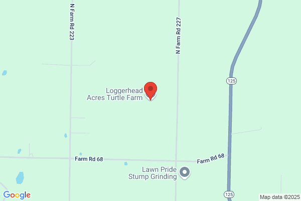 Millard's Turtle Farm