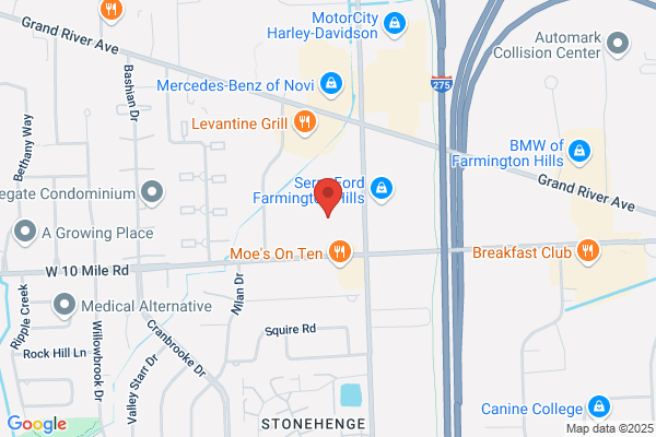 Harmony Acupuncture