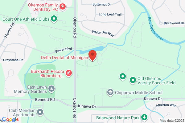 Michigan Dental Plan Inc
