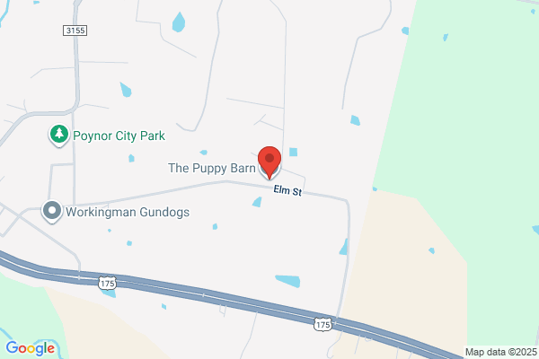 Puppy Barn II the