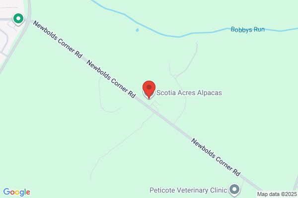 Stanpete's Alpaca Ranch Inc