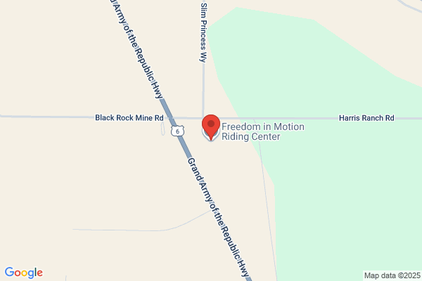 Freedom In Motion Therapeutic Riding Center