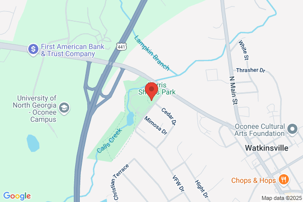 Watkinsville Town of, Town Office