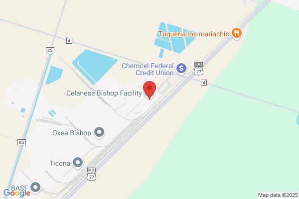 Hoechst-Celanese Eng Plastics