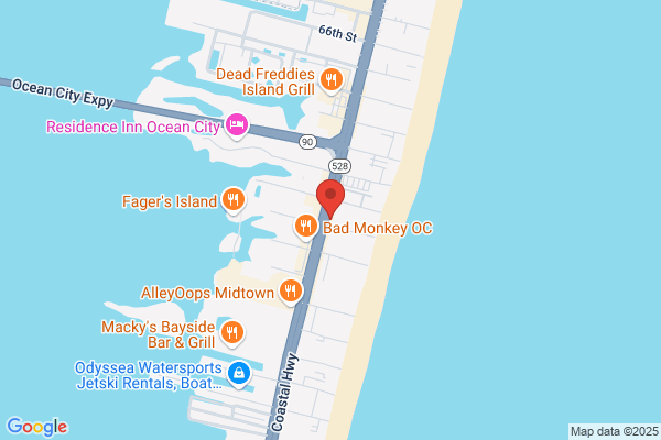 Ocean City Limousine