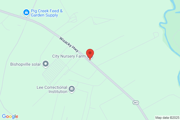 City Nursery Farm Inc