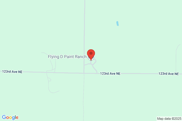 Flying D Paint Ranch