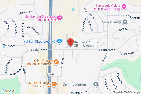 Bismarck Animal Clinic & Hospital