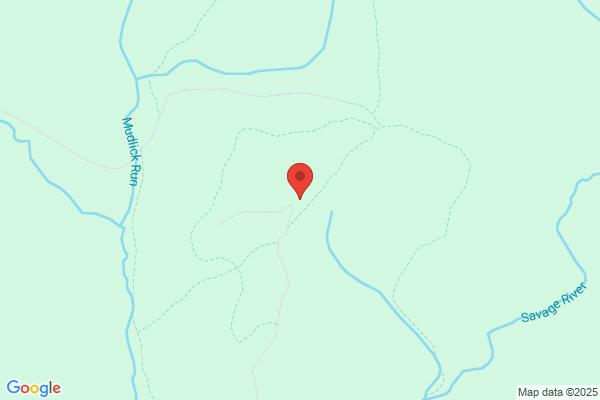 Lodge At Savage River Inn the
