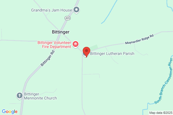 United States Government, Postal Service U S, Bittinger