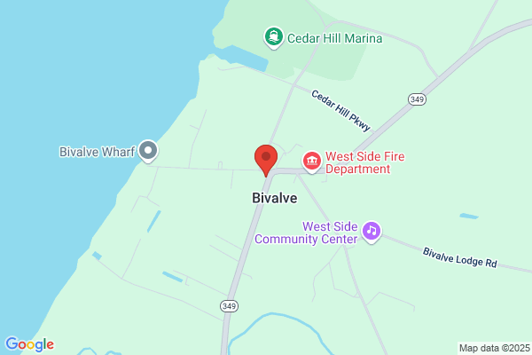 United States Government, Postal Service US, Post Offices, Bivalve