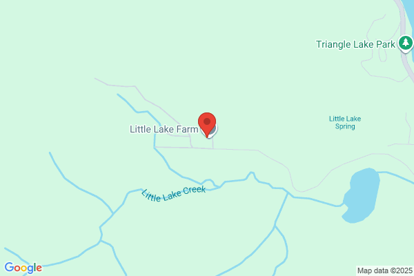 Little Lake Logging & Construction Inc