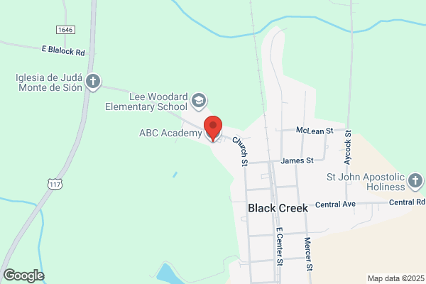 ABC Academy of Black Creek Inc.