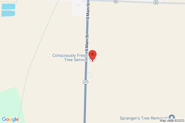 Consciously Fresh Tree Service