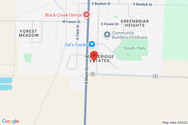Black Creek Village of, Library