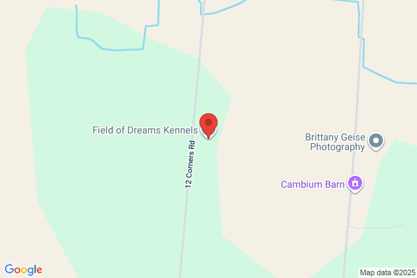 Field Of Dreams Kennel & Country Home Bed & Biscuit