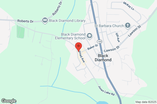 Black Diamond Museum
