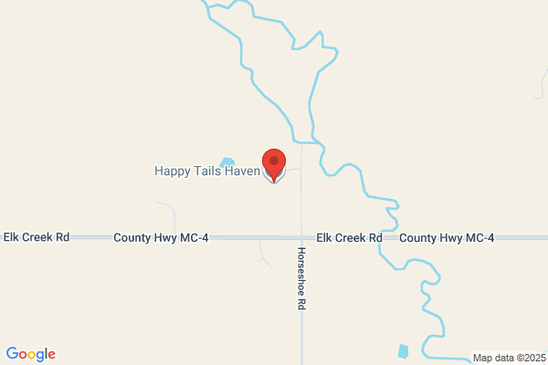 Happy Tails Haven