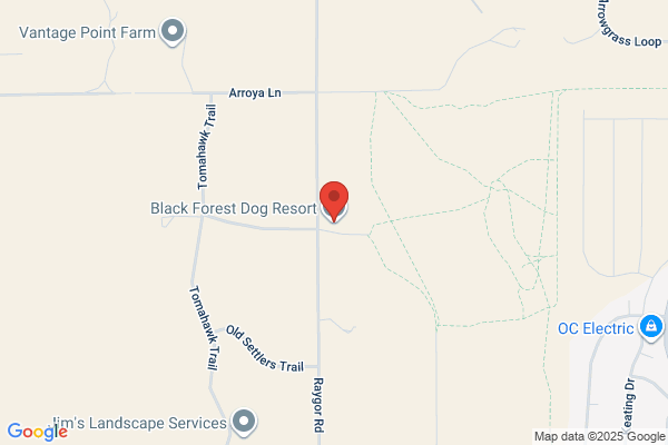 Home Free Dog Lodge