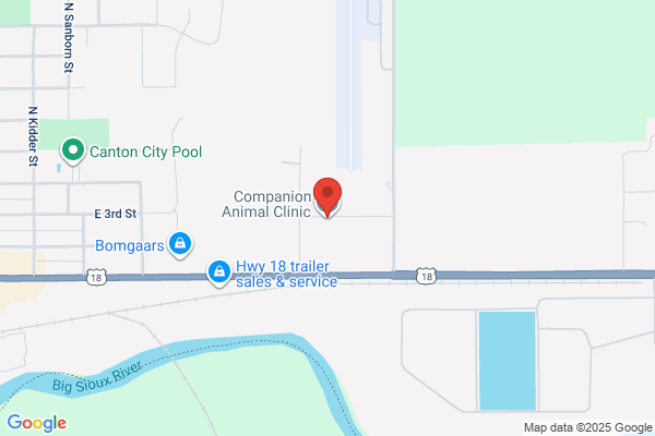 Companion Pet Clinic