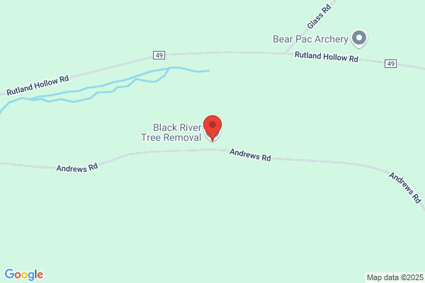 Black River Tree Removal