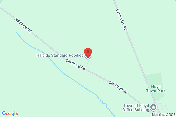 Hillside Kennels