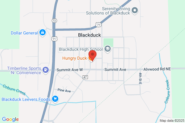 NAPA Auto Parts - Blackduck Auto Parts