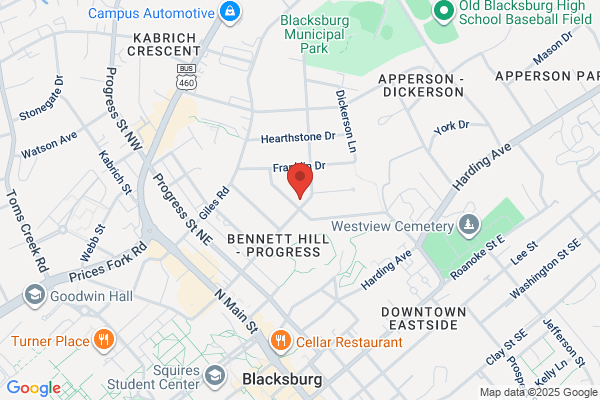 Blue Ridge Tree Specialists