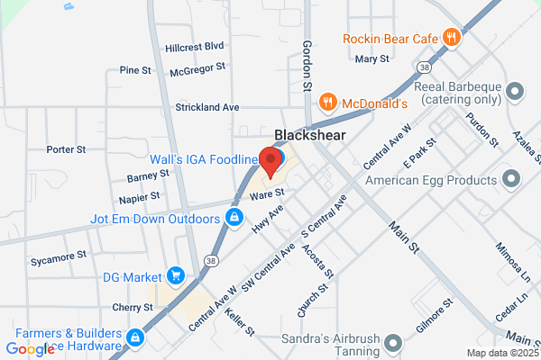 NAPA Auto Parts - Blackshear Auto Parts Inc - Closed