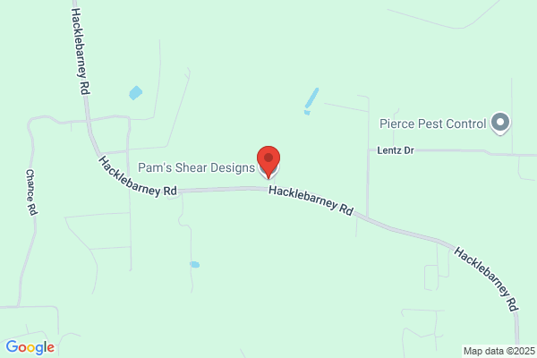 Pams Shear Designs