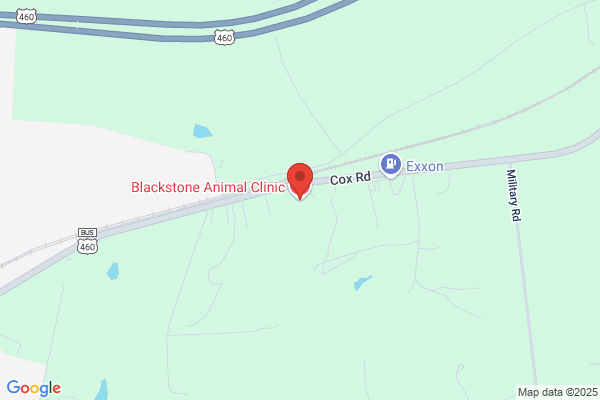 Blackstone Animal Clinic Llc