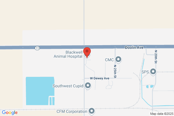 Blackwell Animal Hospital