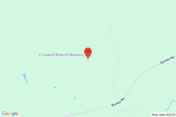 Crooked Branch Nursery