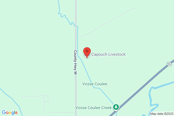 Capouch Livestock
