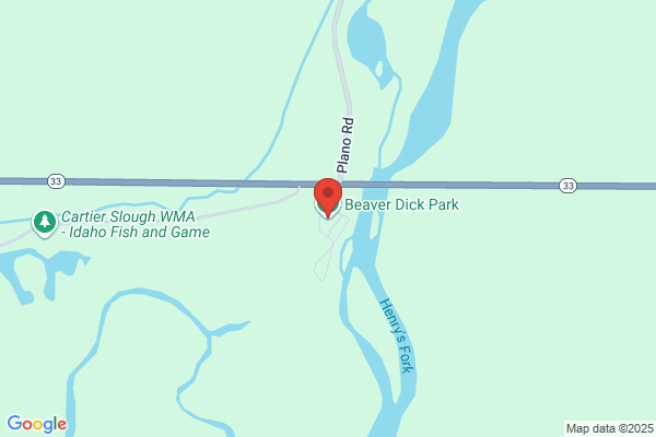 Beaver Dick DC